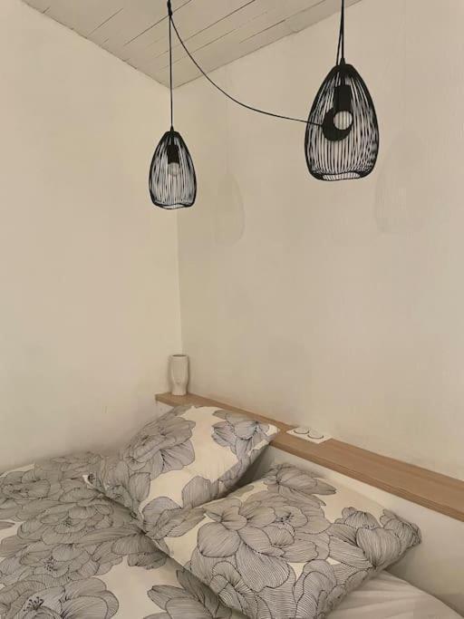 "Le Cocon Des Arenes" Arles Centre Daire Dış mekan fotoğraf